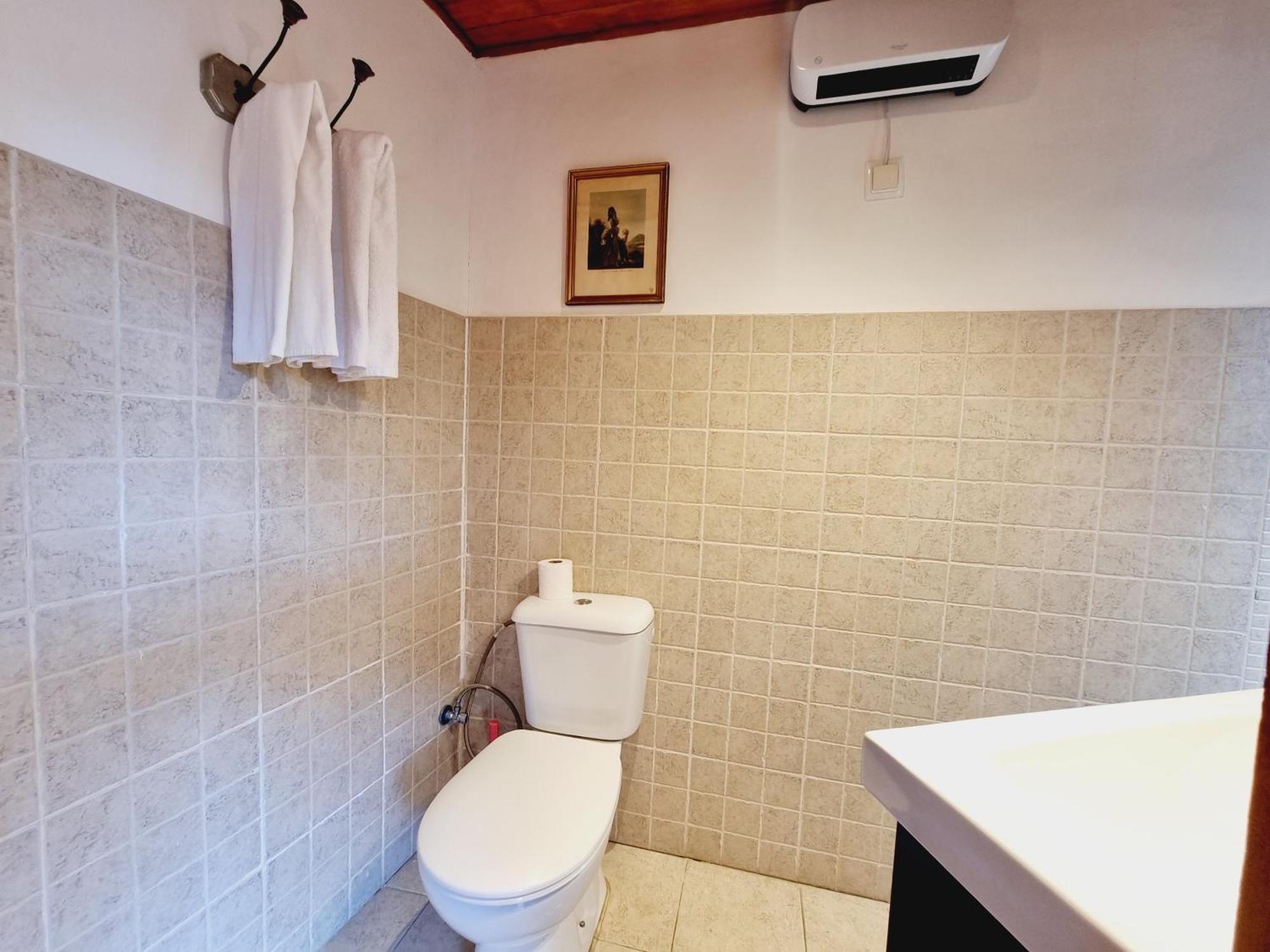 Apto Rustico En Osseja Apartment Екстериор снимка